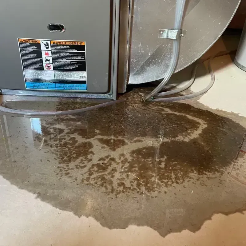 Appliance Leak Cleanup in Loves Park, IL